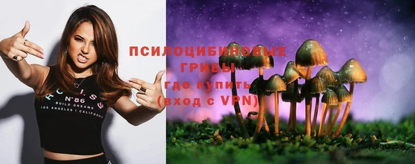 гидра Нязепетровск