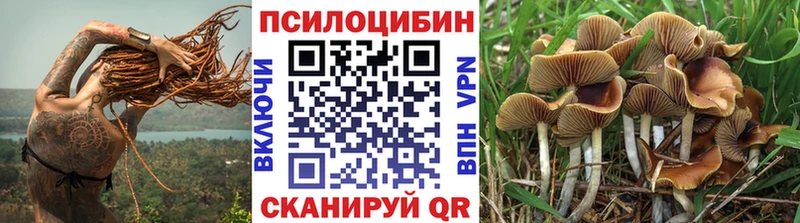 Псилоцибиновые грибы прущие грибы Череповец