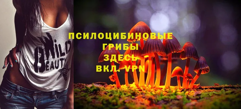 цены наркотик  Череповец  Псилоцибиновые грибы Magic Shrooms 