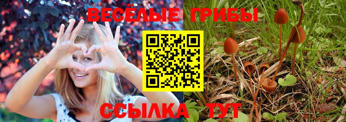 Псилоцибиновые грибы прущие грибы Череповец