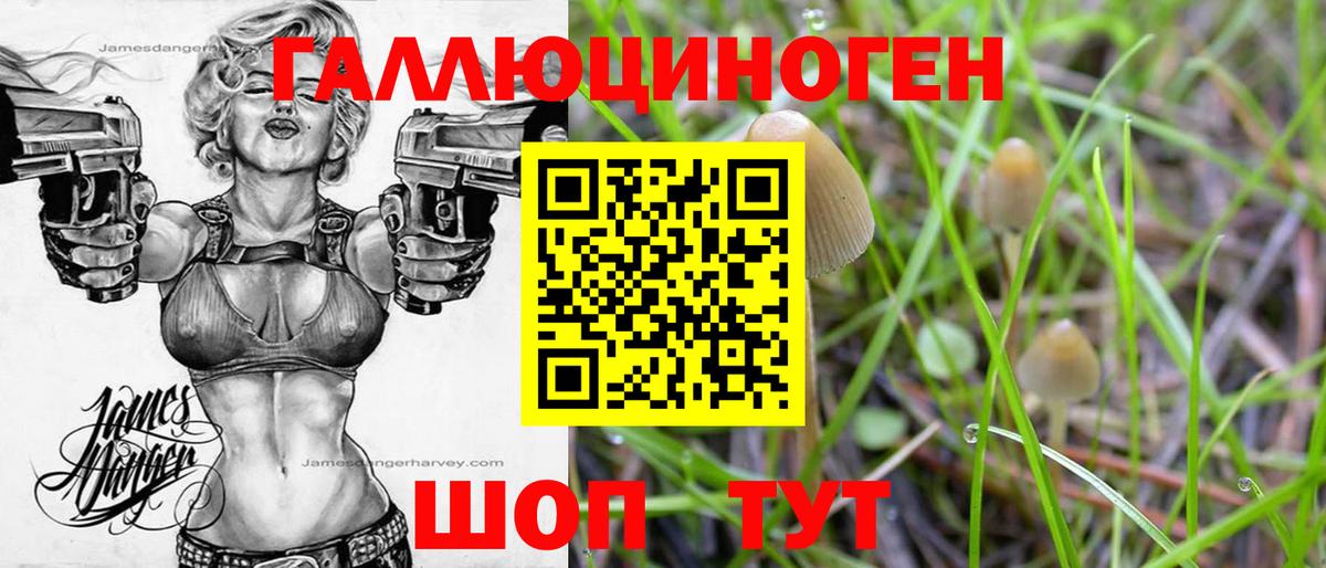 Псилоцибиновые грибы ЛСД Череповец