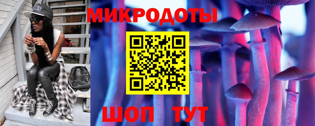 Галлюциногенные грибы Psilocybe  Вход с VPN  Череповец 