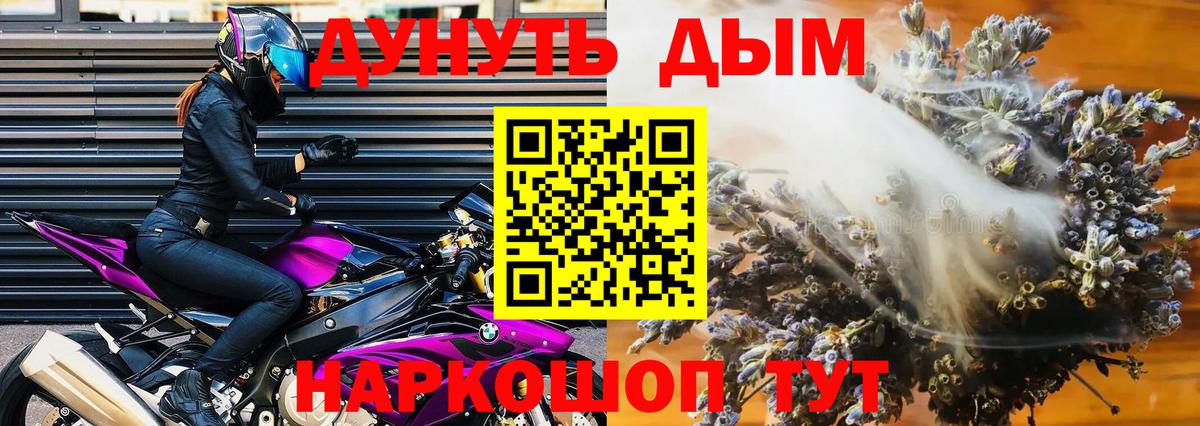 Каннабис план  Марихуана OG Kush  Череповец 